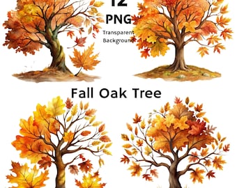 12 Watercolor Fall Oak Tree Clipart: Autumn Woodland PNG Graphics (Digital Download)