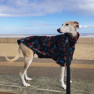 May include: A light-colored dog wearing a patterned coat stands on a concrete ledge near a beach. The coat features a black background with red, blue, and teal geometric designs. A black leash hangs down.