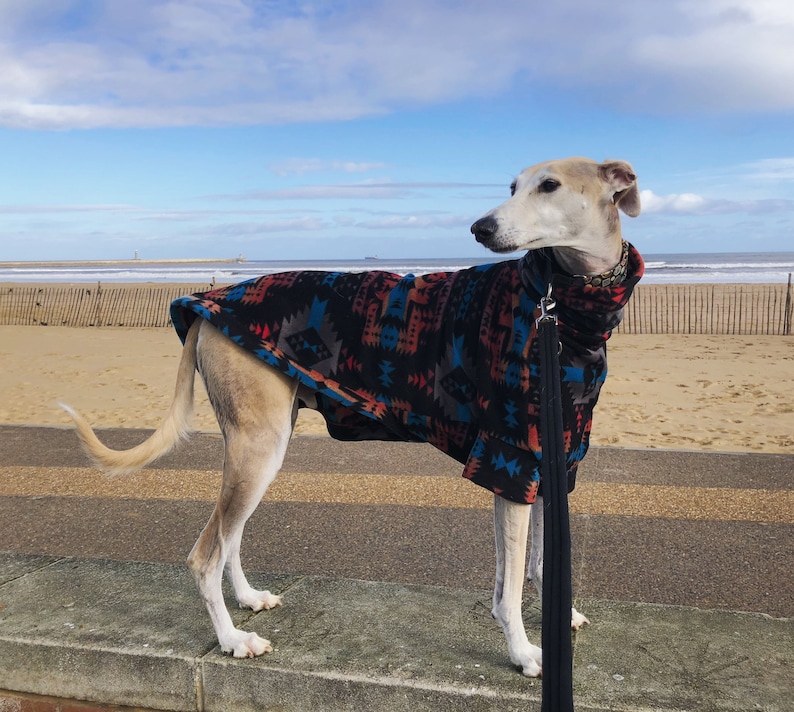 May include: A light-colored dog wearing a patterned coat stands on a concrete ledge near a beach. The coat features a black background with red, blue, and teal geometric designs. A black leash hangs down.