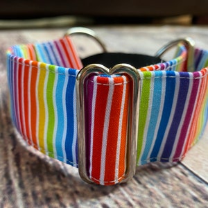 Bright rainbow stripe greyhound martingale collar, 1.5” wide large dog collar