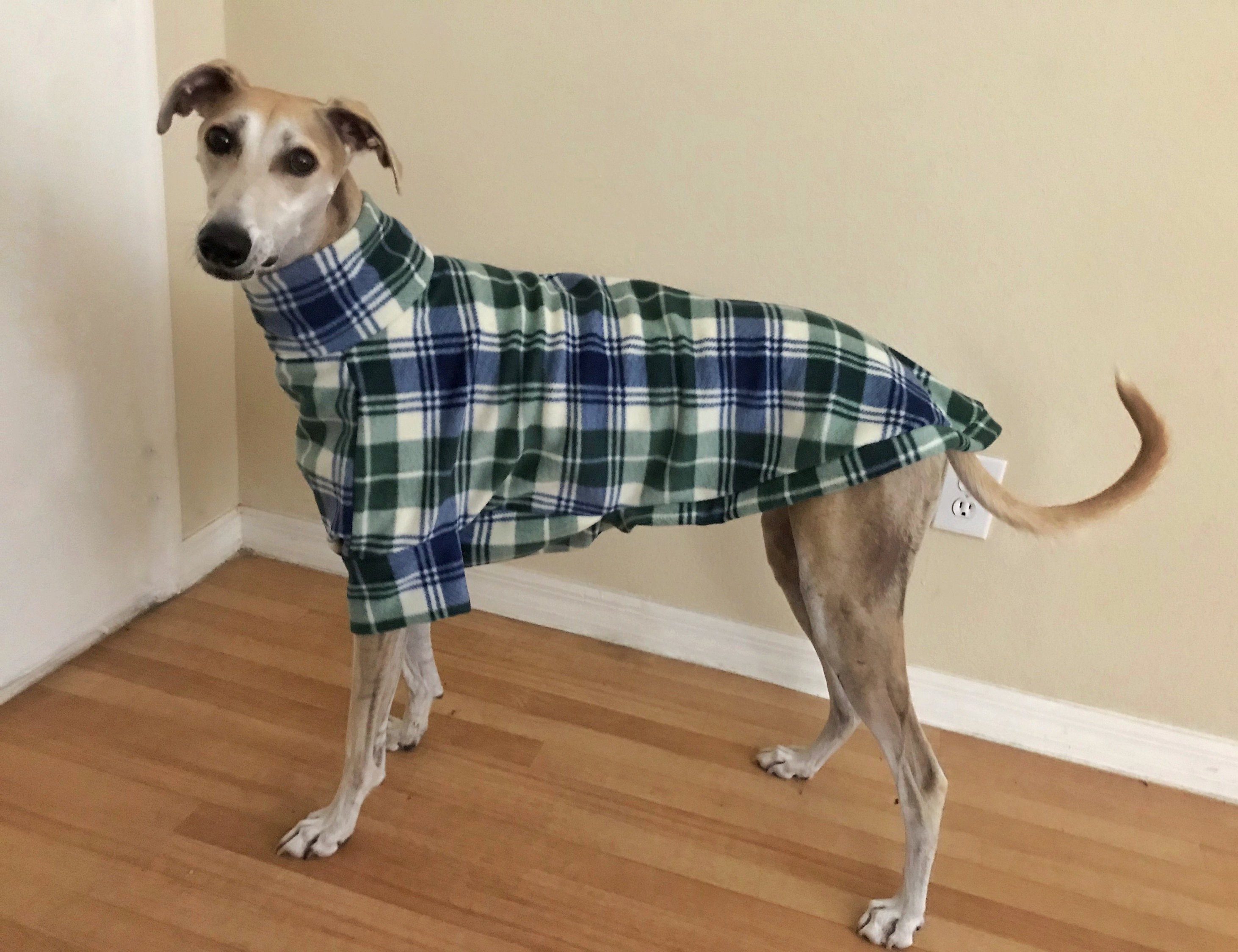 Royal Blue Llama Greyhound Pyjamas Fleece Lurcher Sweater Cute Whippet Pjs Sighthound Housecoat Etsy Canada