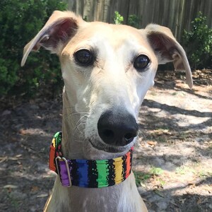 Collar de martingala de pingüinos azules Greyhound collar de ave de 1.5 , collar de whippet de pingüinos imagen 7