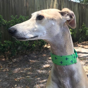 Blue penguins Greyhound martingale collar 1.5 bird sighthound collar, penguins whippet collar image 9