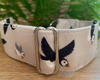 Puffin Print Greyhound Martingale Collar: 1.5" Cotton Sighthound Collar neutrals bird penguin