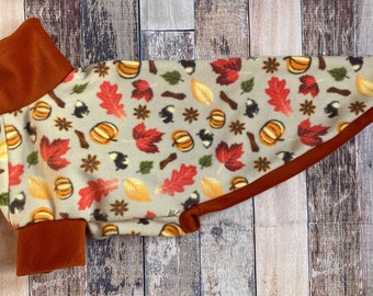 Autumn Greyhound Clothing, cosy made to measure fleece pyjamas for lurchers, whippets, sighthounds. Pumpkin leaves Fall dog sweater acorn
