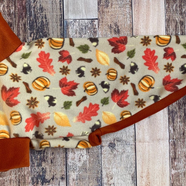 Autumn Greyhound Clothing, cosy made to measure fleece pyjamas for lurchers, whippets, sighthounds. Pumpkin leaves Fall dog sweater acorn