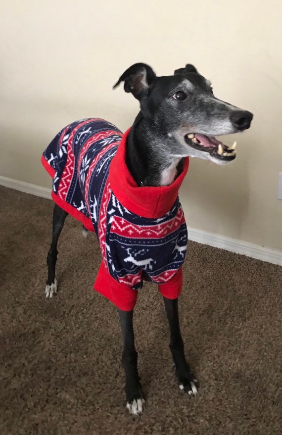 Greyhound christmas jumper best sale