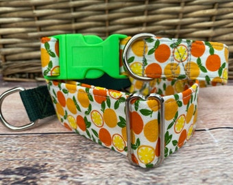 Oranges Sighthound collar, fruit lurcher martingale collar, summer greyhound house collar