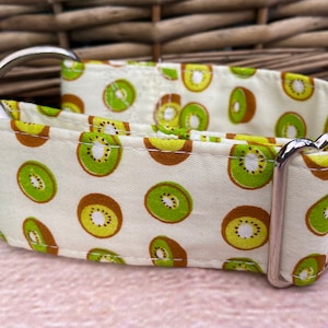 Kiwi fruit sighthound collar, greyhound martingale collar, summer lurcher tag collar