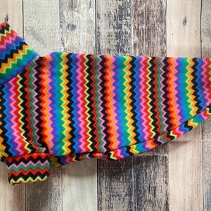 Op de afbeelding: Een kleurrijke hondentrui met een chevron-patroon in tinten rood, oranje, geel, groen, blauw, paars en zwart.