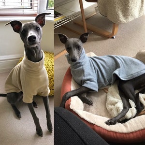 May include: Two grey Italian Greyhound dogs wearing different colored sweaters. One dog is sitting on a light brown carpet wearing a beige sweater. The other dog is lying on a bed wearing a light blue sweater.