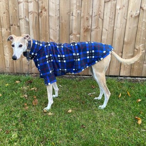May include: A light-colored dog wearing a blue, black, and white plaid fleece dog coat. The dog is standing on green grass in front of a wooden fence. The coat has a high collar and covers the dog's back and legs.