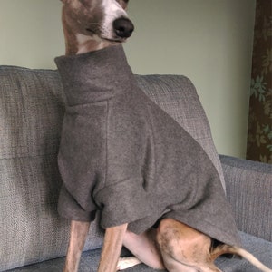 May include: A grey dog sweater with a high neck, worn by a small, brown and white dog sitting on a grey couch.