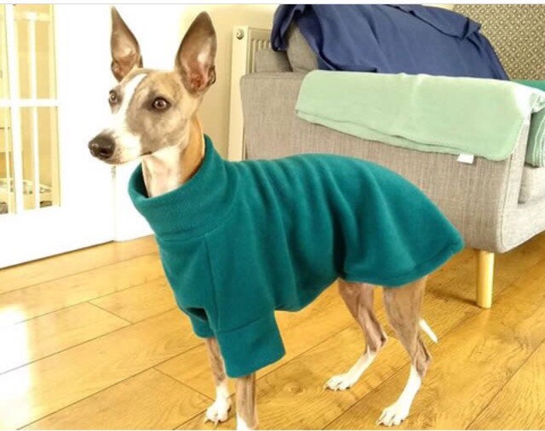 Rainbow Stripe greyhound & whippet pajamas, retro made to measure fleece sweater for sighthounds. image 8