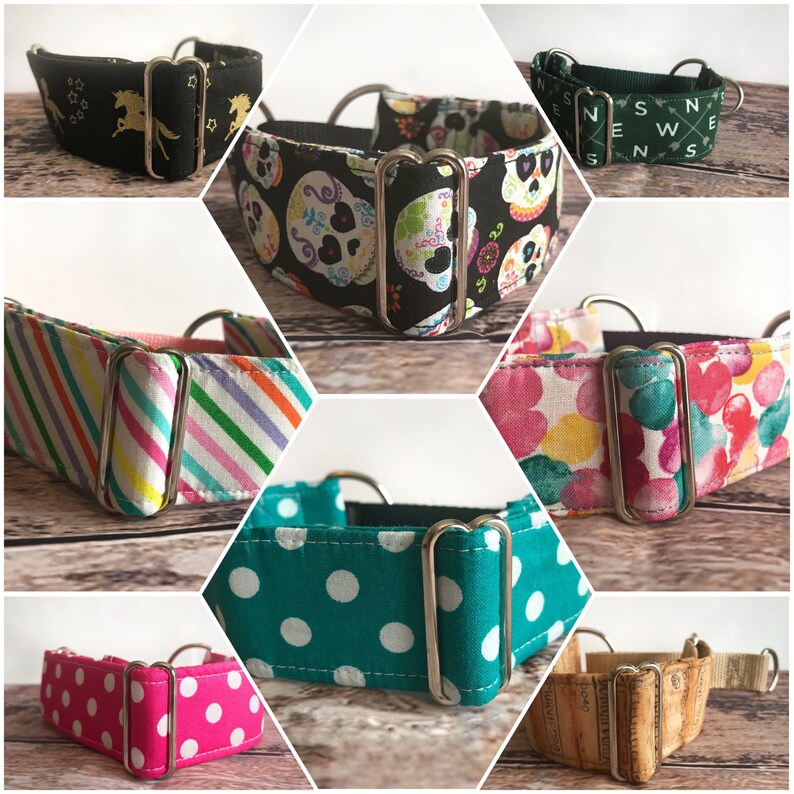 Stars Greyhound martingale collar 1.5 Wide sighthound Etsy