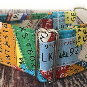 License Plates Greyhound martingale collar - 2" American car dog collar, wide sighthound collar