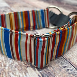 Masculine Stripe Greyhound collar, grey blue brown lurcher martingale collar, summer whippet house collar