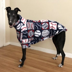 May include: A black and white dog wearing a blue, red, and white fleece sweater with a baseball pattern.