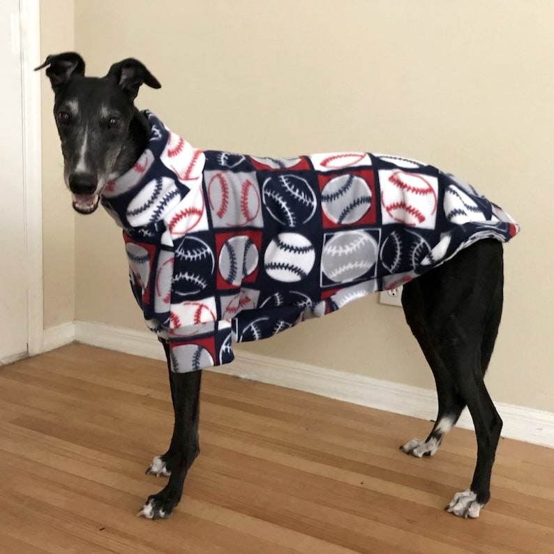 May include: A greyhound dog wearing a baseball-themed fleece jacket. The jacket features a pattern of baseballs in red, white, and grey squares on a navy blue background. The dog is standing on a wooden floor.