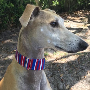 Blue penguins Greyhound martingale collar 1.5 bird sighthound collar, penguins whippet collar image 10