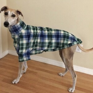 May include: A tan and white dog wearing a green, blue, and white plaid fleece shirt. The dog is standing on a wooden floor.