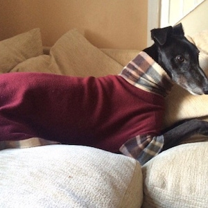 May include: A black dog wearing a burgundy sweater with plaid trim, resting on a beige couch. The dog is a greyhound or similar breed, with a long snout and alert expression. The sweater covers the dog's body, providing warmth.