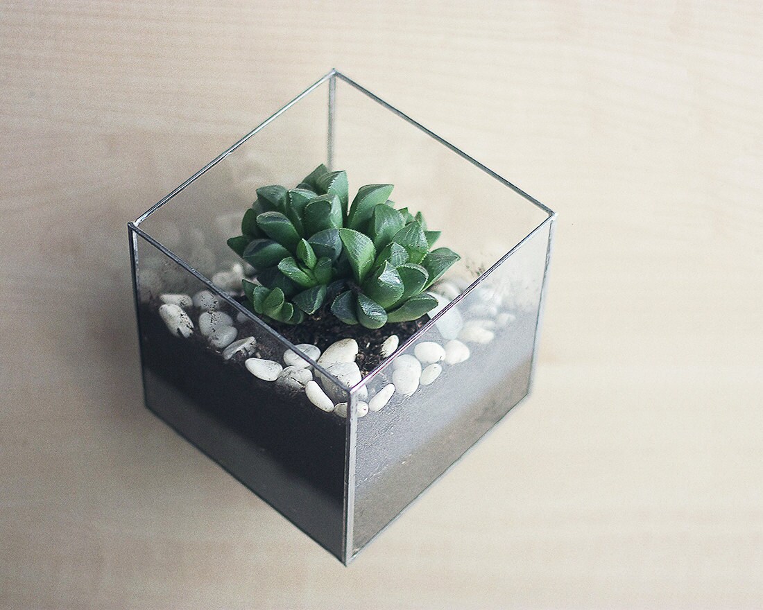 Wall Mount Geometric Glass Terrarium Cube Modern Planter Etsy