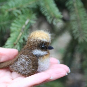 Needle felted bird. Little bird. Miniature. Needle felted animal. Soft sculpture. Made to order image 2