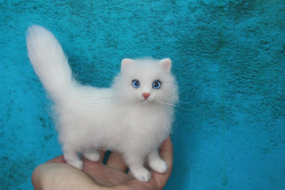 white fluffy cat