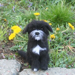 Custom Made Dog. Realistic Felted Dog. Needle Felted Dog. Black Fluffy Dog. Needle Felted Animal. Maltese Dog. Felted Animal.Made to order.