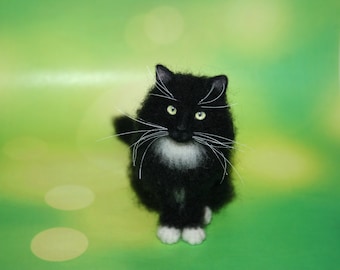 May include: A black and white cat with long fur and white paws. The cat is looking directly at the camera with a serious expression.