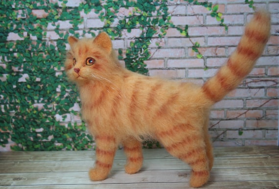 fluffy orange tabby cat