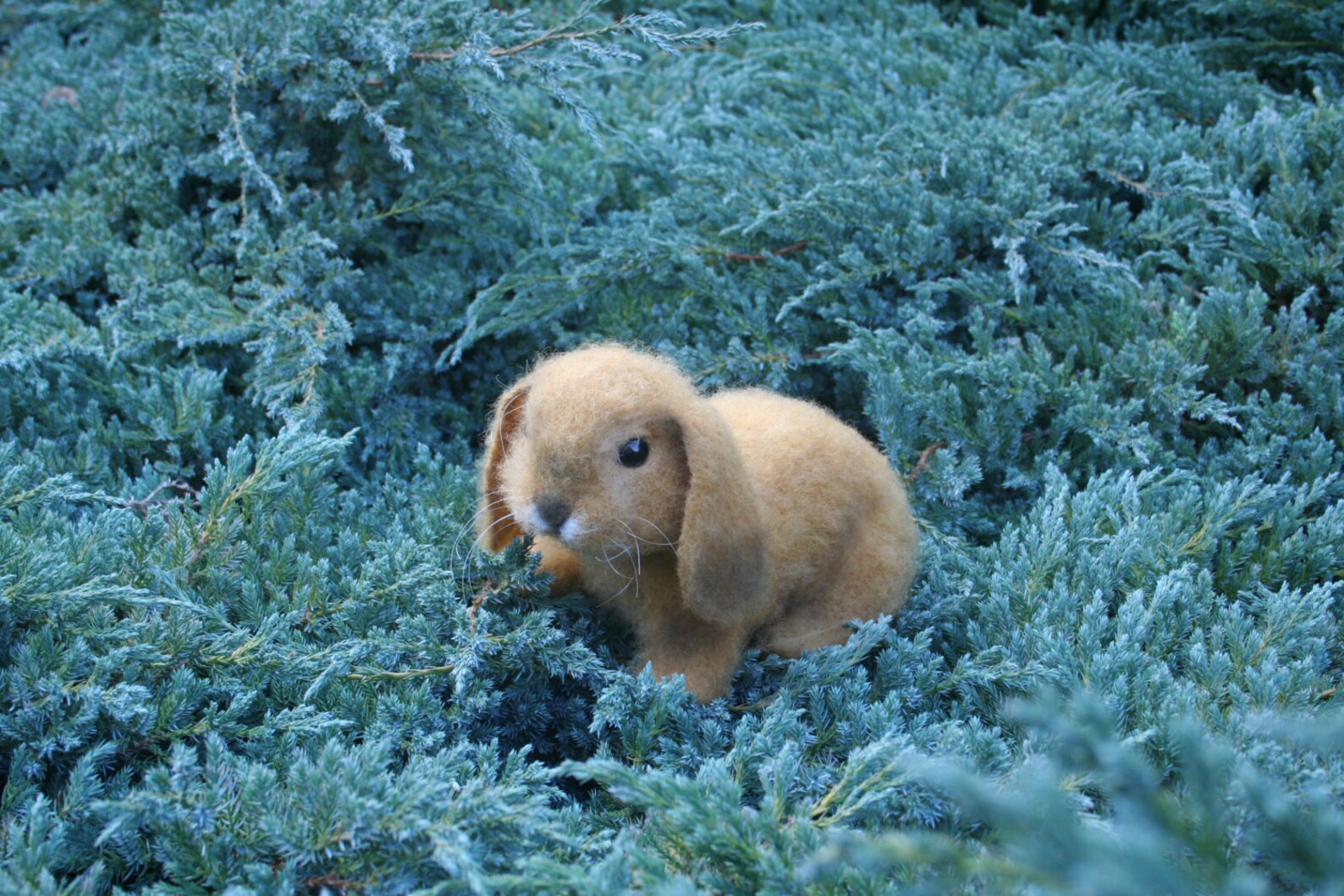 Needle Felted Rabbit. Realistic Rabbit. Soft Sculpture. Etsy