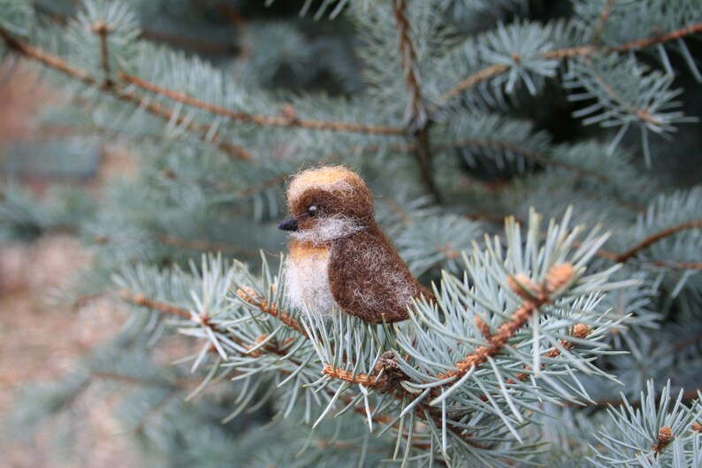 Needle felted bird. Little bird. Miniature. Needle felted animal. Soft sculpture. Made to order image 3