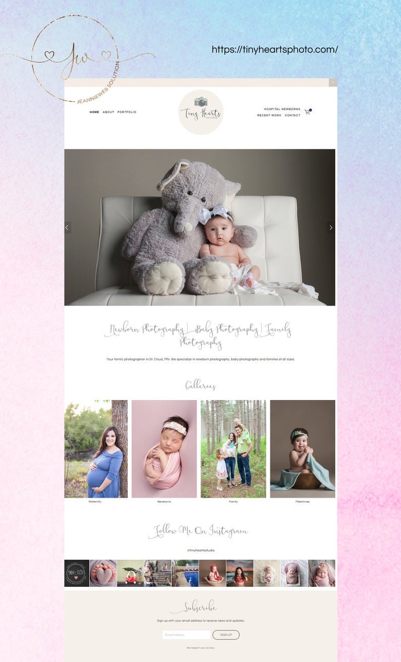 May include: A website for a photographer specializing in newborn, baby, and family photography. The website features a photo of a baby girl with a large stuffed elephant, a gallery of photos, and a call to action to follow the photographer on Instagram.