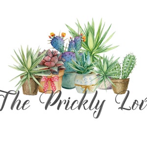 Kaktus Logo-Wüste Logo-Sukkulenten Logo-Botanisches Logo-Potted Plants Logo-Yucca Logo-Premade Logo-Aquarell Logo-Free Font Change