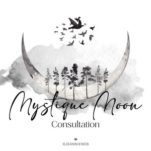 Premade Moon Logo - Magic Logo - Mystic Logo - Moon and Birds on Night Sky Logo - Esoteric Spiritual Logo - Boho Logo - Boutique Logo