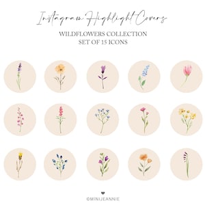 15 Instagram Highlight Covers, Boho Wildflower Instagram Story Icons,  Floral Instagram Highlights, Instagram Branding Highlight Icons