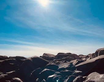 Hawthorn, Honey and Rose: A Beltane Observance