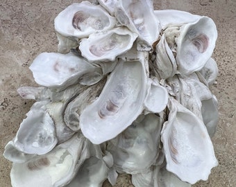 Oyster Shell Cluster, Beach Decor, Beach Wedding, Nautical Theme, Home Decor, Clusters, Natural Oyster Shell,