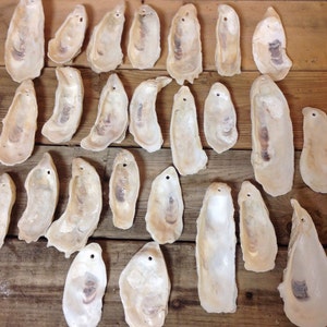 25 DRILLED Oyster Shells from the Lowcountry, Beaufort SC