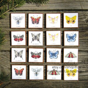 Moths and Butterflies Alphabugs Thank You Memory Matching Game, Butterfly Moth ABC Alphabet, Insect Gift Felt Puzzle, Kid&#39;s Educational Toy