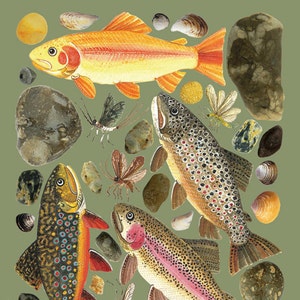 Trout & Water Bugs Art Print, Fish Decor, Watercolor Painting Scientific Illustration, Golden Rainbow Palomino Brown Brook Rainbow Trout
