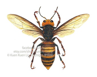 Asian Giant Hornet Creations, Murder Hornet, Vespa mandarinia, Watercolor/Painting/Art Print, Felt Ornament, Greeting Card