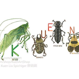 Impressão personalizada da arte da letra do alfabeto do inseto, nome personalizado arte entomologista aniversário bug natureza científica pintura em aquarela ilustração