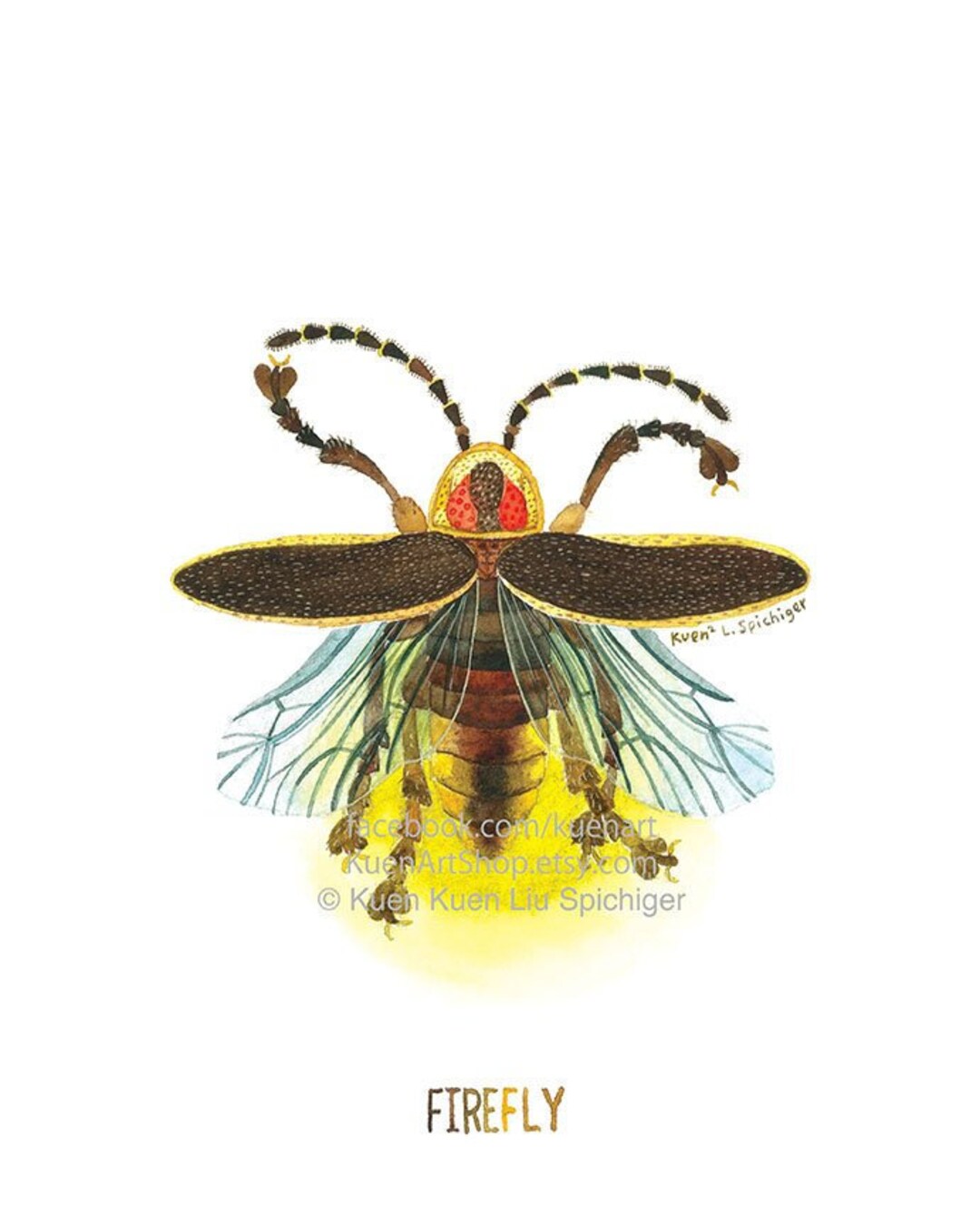 Firefly/lightning Bug F is for Firefly Etsy