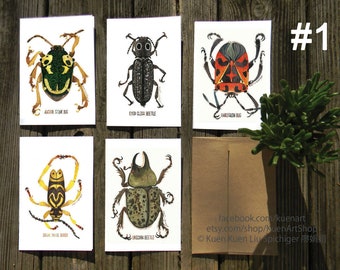 Set of 5 Insect Greeting Cards, Nature Cards, Moths, Butterflies, Beetles, Bees