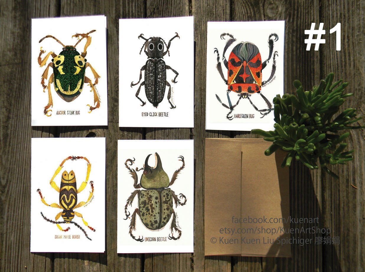 Set of 5 Insect Greeting Cards, Nature Cards, Moths, Butterflies, Beetles, Bees
