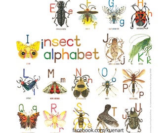 A-Z Insect Alphabet Poster 8"x10", Free Glow-In-The_Dark Tattoos