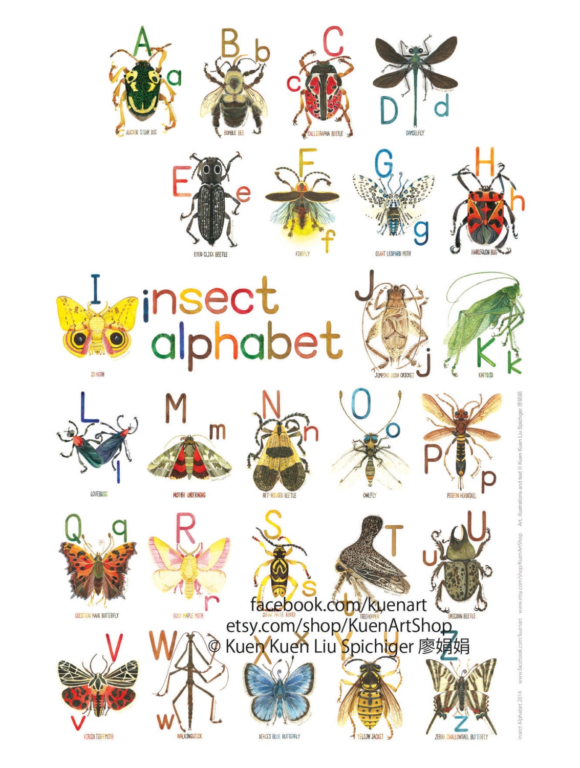 A-Z Insect Alphabet Poster 8x10 Digital Download INSTANT DOWNLOAD